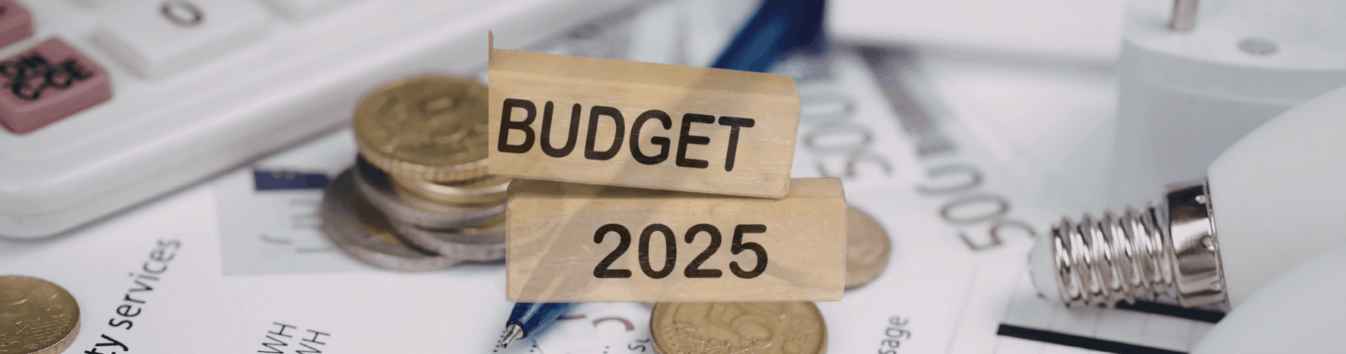 Read more about the article Budget 2025: Rural Roads Could Power Economic Growth