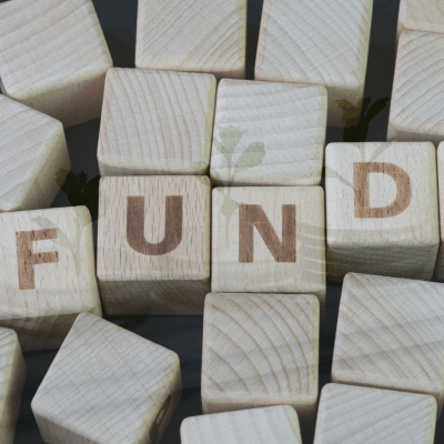 Parag Parikh Large Cap Fund investment strategy and long-term portfolio approach