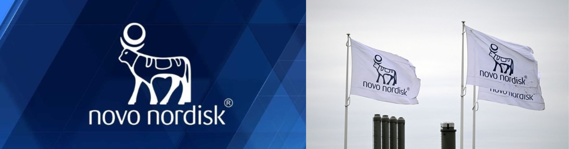 Novo Nordisk Faces Key Battle In U.S. Market